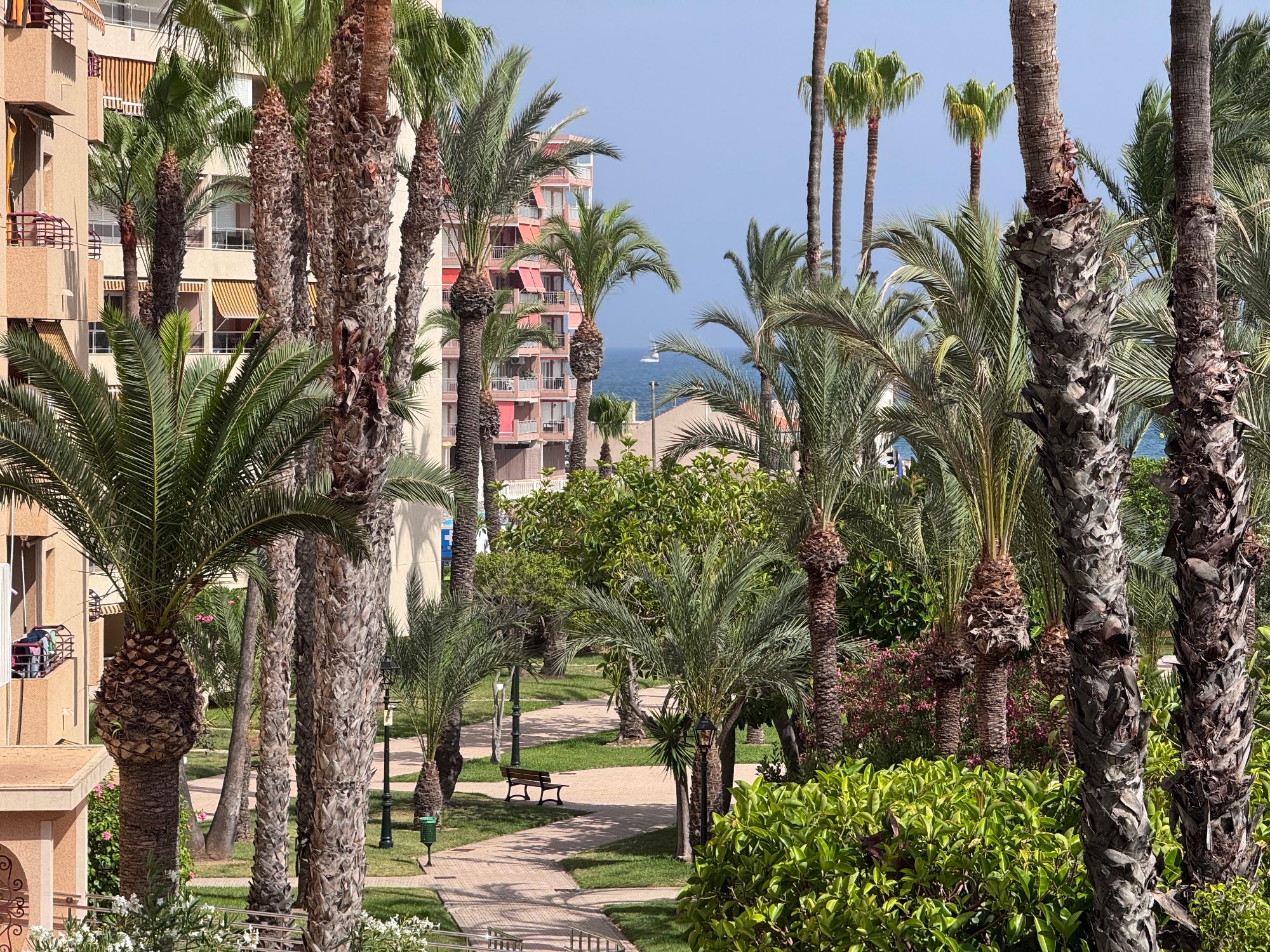 2-Zimmer-Wohnung direkt am Strand in Torrevieja 17